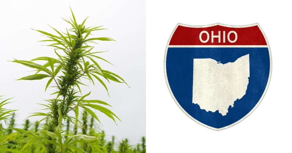ohio ban intoxicating hemp products