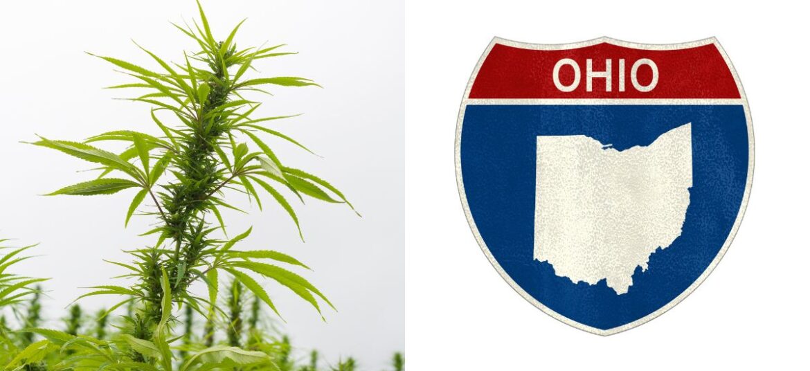 ohio ban intoxicating hemp products