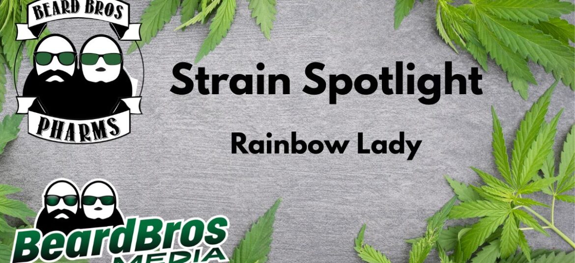 Promotional graphic for the Rainbow Lady strain review by Beard Bros Pharms, featuring bold text, cannabis leaves framing the design, and company logos on a textured gray background