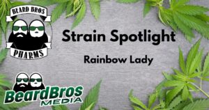Promotional graphic for the Rainbow Lady strain review by Beard Bros Pharms, featuring bold text, cannabis leaves framing the design, and company logos on a textured gray background
