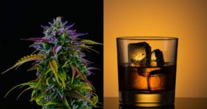 cannabis use linked to lower liver disease