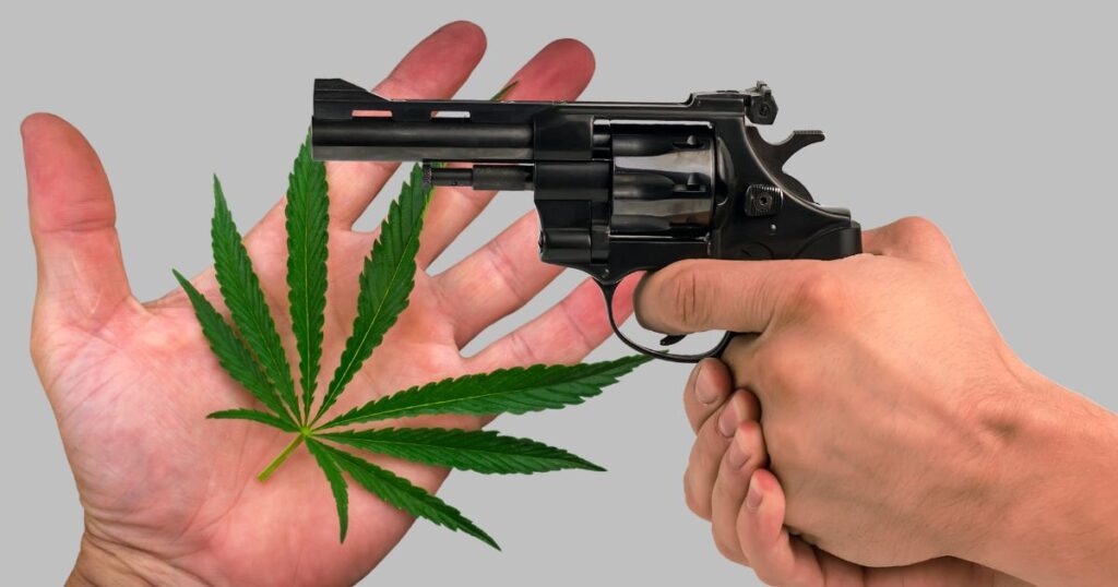 supreme court to decide if marijuana users are allowed to own guns