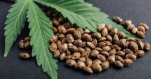 Close-up of a pile of mottled brown hemp seeds with vibrant green serrated hemp leaves on a dark surface, symbolizing the debate surrounding a potential hemp ban