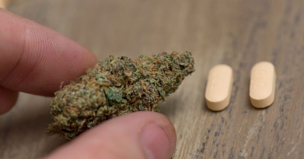 Close-up of fingers holding a dense cannabis bud with two light-colored pills resting on a wooden surface in the background, symbolizing the role of legal cannabis in reducing opioid use