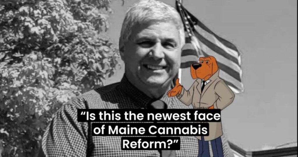 Black and white photo of Senator Scott Cyrway in a checkered shirt and tie with an American flag in the background, overlaid with a cartoon dog and text questioning Maine cannabis policy reform