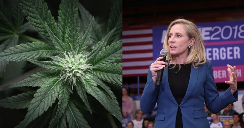 Split image featuring a close-up of a vibrant cannabis plant and Virginia Governor Abigail Spanberger speaking at a political event, symbolizing the push for Virginia recreational cannabis policies