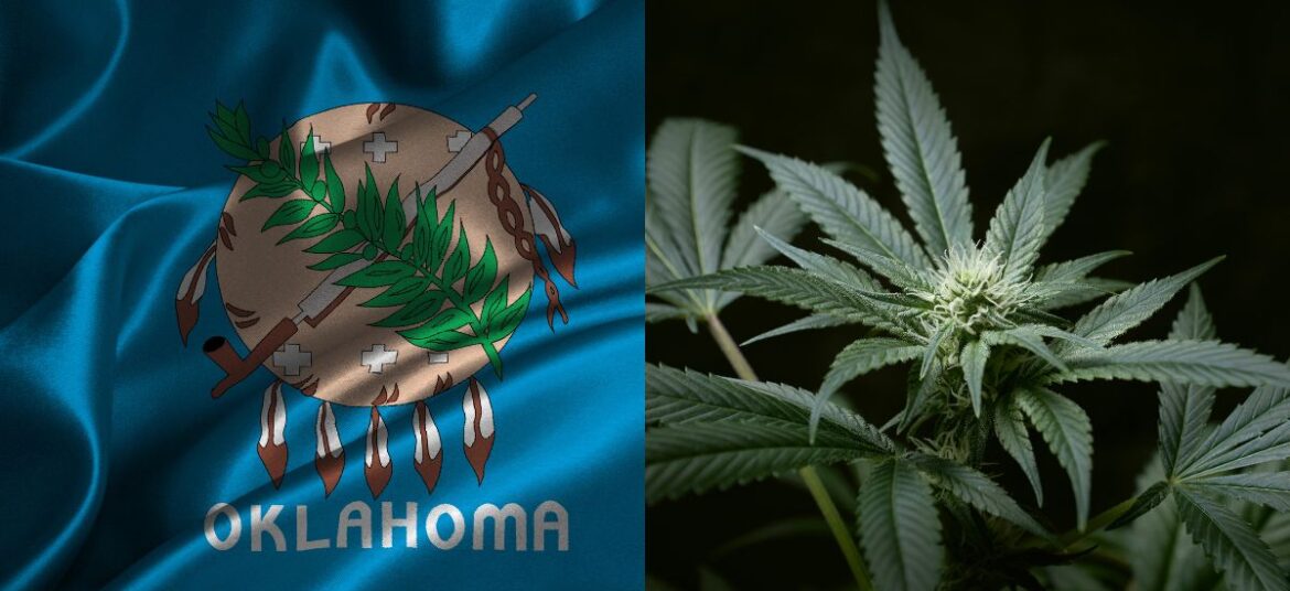 Split image featuring the Oklahoma state flag with its seal and a vibrant cannabis plant, symbolizing the discussion around Oklahoma cannabis legalization and State Question 837