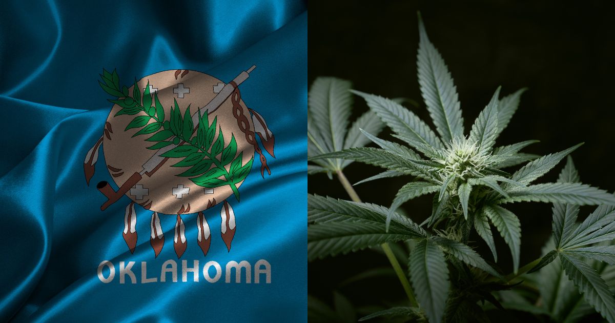 Split image featuring the Oklahoma state flag with its seal and a vibrant cannabis plant, symbolizing the discussion around Oklahoma cannabis legalization and State Question 837