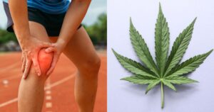 Split image showing a person clutching their inflamed knee on a running track and a vibrant cannabis leaf, symbolizing pain relief and wellness themes for International Men's Day