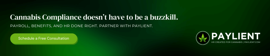 Banner Advert For Paylient