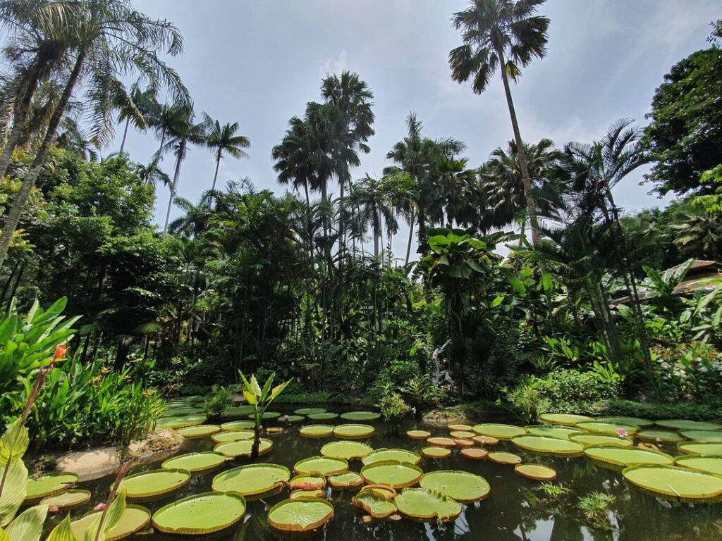 Singapore Botanic Gardens