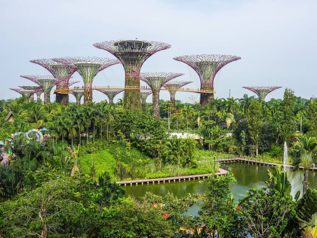 Singapore Botanic Gardens