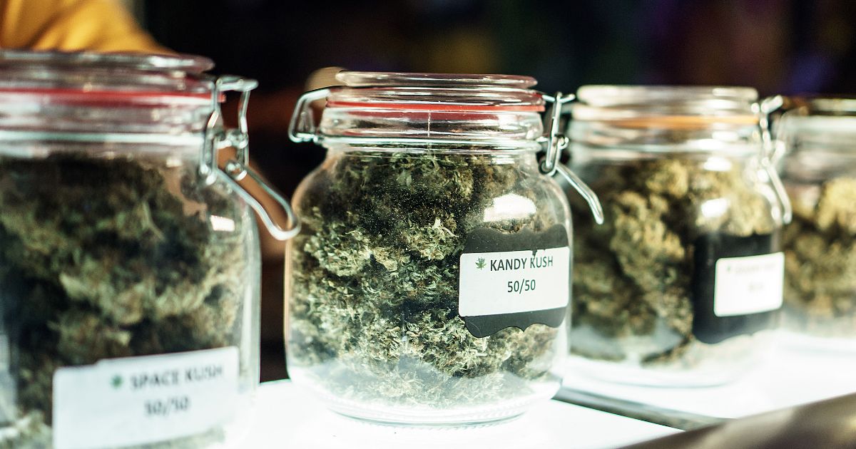 Close-up of labeled glass jars filled with dried cannabis flowers, including strains like 'Space Kush' and 'Kandy Kush,' symbolizing Michigan's controversial request for cannabis businesses to report customer activitie