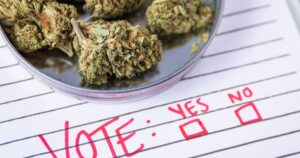 Close-up of cannabis buds in a metallic container placed on lined paper with handwritten 'VOTE: YES NO' and empty checkboxes, symbolizing the controversy over deceptive tactics in Massachusetts' cannabis industry ballot efforts." Let me know if you'd like any adjustments