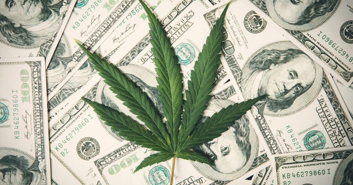 Flat lay image of a vibrant green cannabis leaf placed over scattered US one-hundred dollar bills, symbolizing the financial impact of Michigan's wholesale cannabis tax on the industry