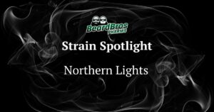 Promotional graphic by BeardBros Pharms featuring the Northern Lights strain. The design includes a black background with swirling white smoke patterns, a logo of two bearded figures, and centered text highlighting 'Strain Spotlight' and 'Northern Lights.