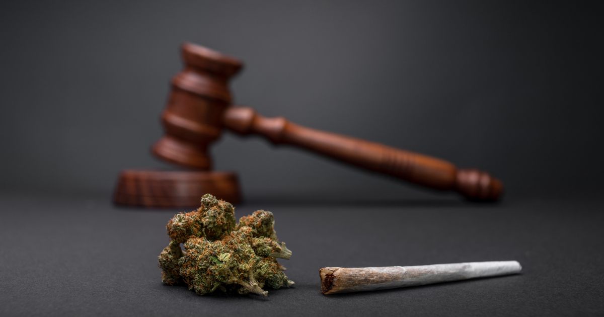 Close-up of cannabis buds and a partially smoked joint in sharp focus, with a blurred judge's gavel in the background, symbolizing legal debates around Florida recreational marijuana legalization.