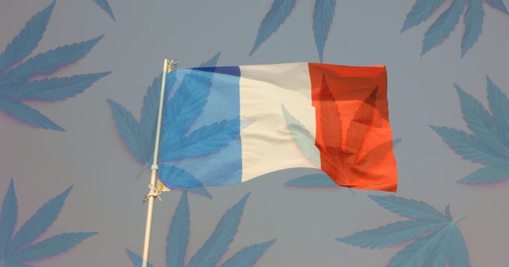 Composite image of the French flag with blue, white, and red vertical stripes, overlaid with semi-transparent bluish-green cannabis leaves, symbolizing France's evolving medical cannabis framework.