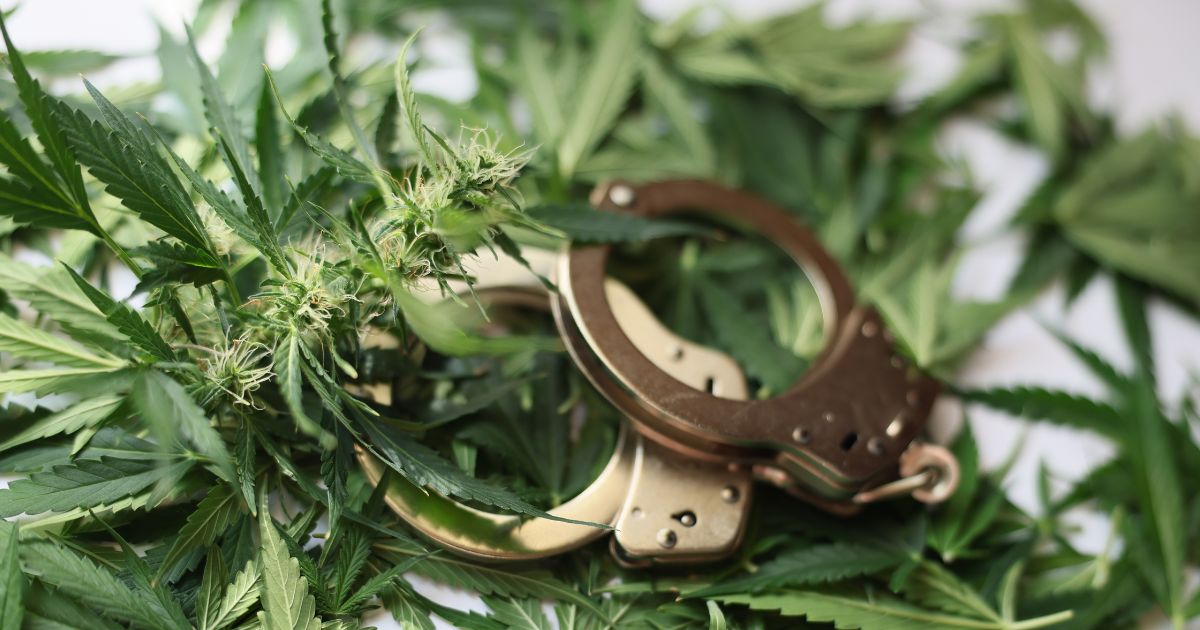 Top-down view of vibrant green cannabis leaves intertwined with silver handcuffs on a white background, symbolizing the legal debate around Utah's efforts to decriminalize cannabis.