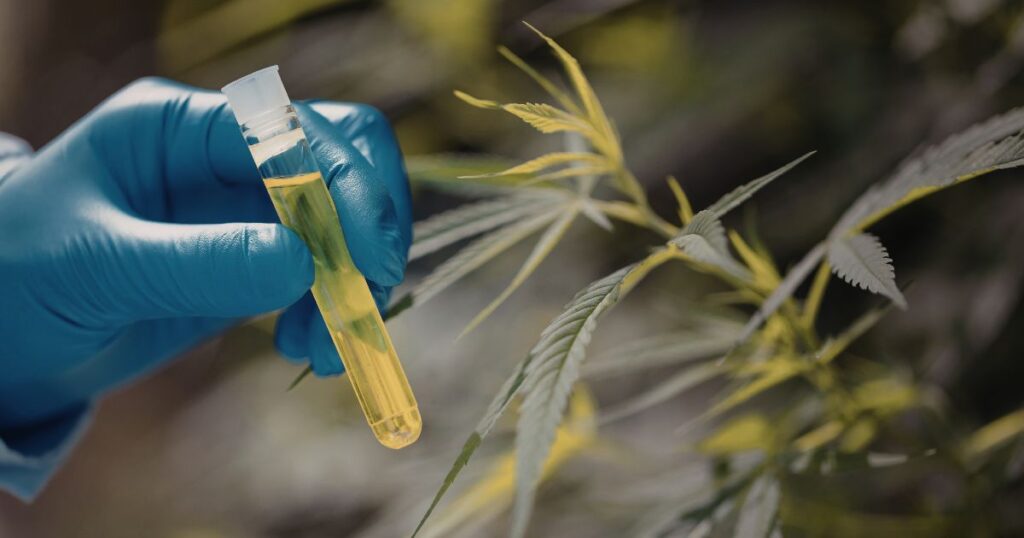 Close-up of a gloved hand holding a test tube filled with yellow liquid, set against a blurred background of cannabis leaves, symbolizing Michigan House Bill 4501's focus on standardized cannabis testing in a state-run lab