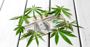 Green cannabis leaves scattered over a $100 bill featuring Benjamin Franklin, placed on a white wooden surface, symbolizing the booming New York cannabis industry's financial success