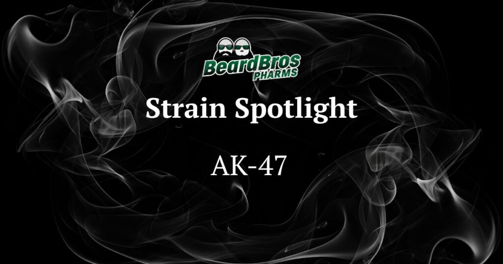 Promotional graphic by BeardBros Pharms featuring the AK-47 cannabis strain, with a dark smoky background, bold white serif text, and a green logo of two bearded figures