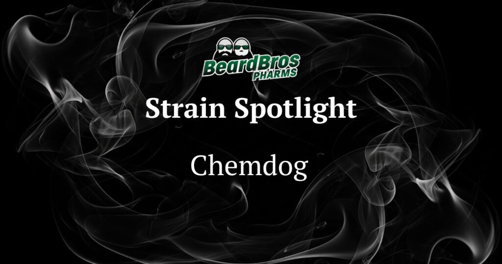 Promotional graphic by BeardBros Pharms featuring the Chemdog strain, with a dark smoky background, a central 'Strain Spotlight' title, and the brand's logo of two bearded figures in green accents