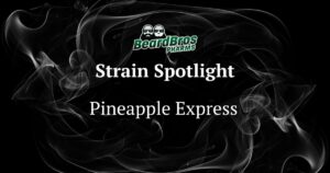 Promotional graphic by BeardBros PHARMS featuring the Pineapple Express cannabis strain, with a dark smoky background, bold white serif text, and a green logo of two bearded figures.