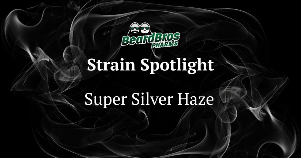 Promotional graphic by BeardBros Pharms featuring the Super Silver Haze strain, with a dark smoky background, a central 'Strain Spotlight' title, and the brand's green logo of two bearded figures