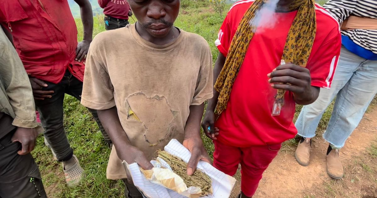 Outdoor scene featuring a group of individuals, with a central figure holding dried plant material in paper and another smoking from a pipe, set against a grassy and rural backdrop, symbolizing global cannabis culture.
