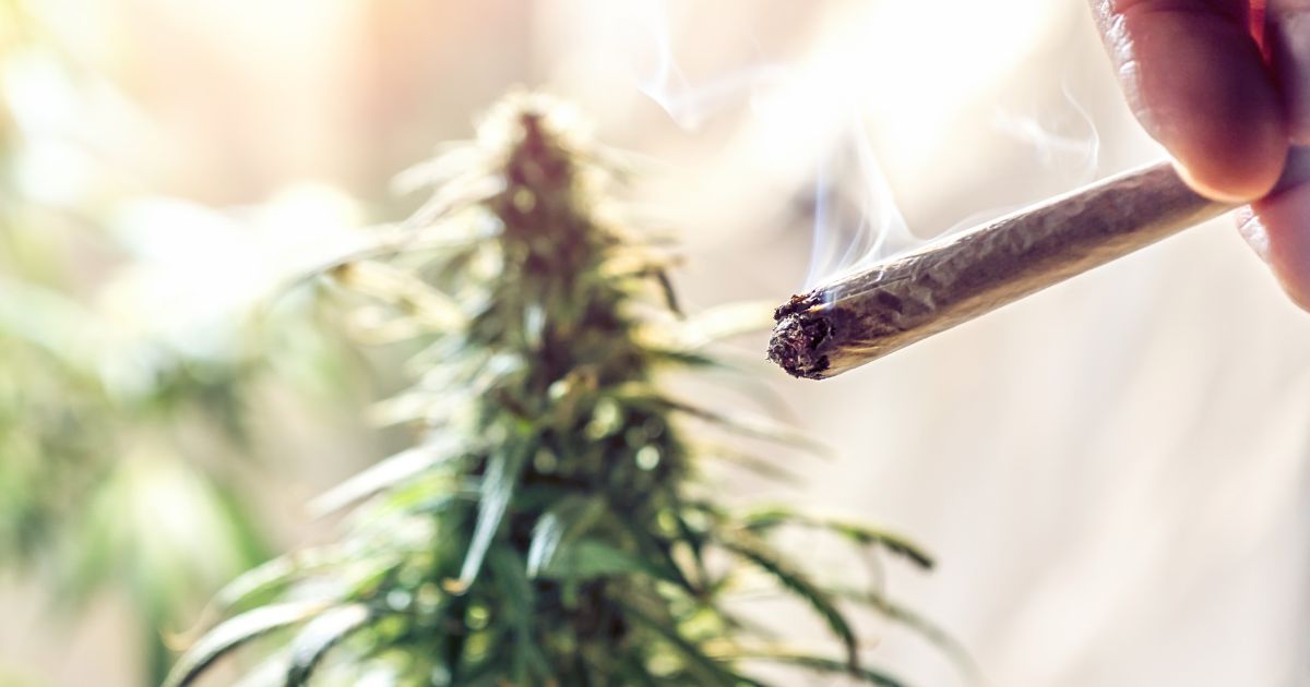 Close-up of a hand holding a lit cannabis joint with wisps of white smoke rising from the tip. In the blurred background, a vibrant green cannabis plant is visible under warm lighting, symbolizing the discussion around Arizona's regulation of excessive marijuana smoke