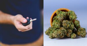Split image highlighting Florida's cannabis container bill: the left side shows a hand holding a car key against a blurred background, while the right side features a pile of vibrant cannabis buds spilling from a bowl on a clean backdrop.