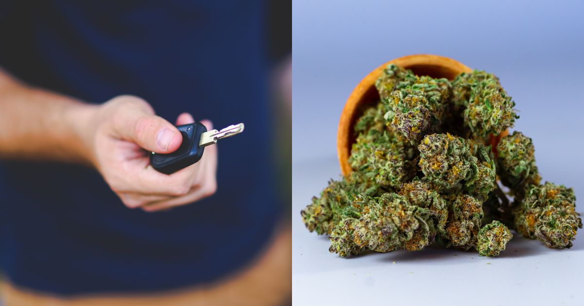 Split image highlighting Florida's cannabis container bill: the left side shows a hand holding a car key against a blurred background, while the right side features a pile of vibrant cannabis buds spilling from a bowl on a clean backdrop.