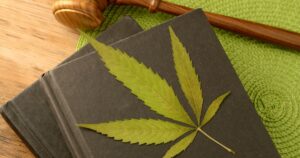 Still life image symbolizing cannabis legislation: A dried cannabis leaf rests on dark books, with a wooden gavel nearby on a green woven mat. The composition reflects the Florida Supreme Court's involvement in recreational cannabis discussions