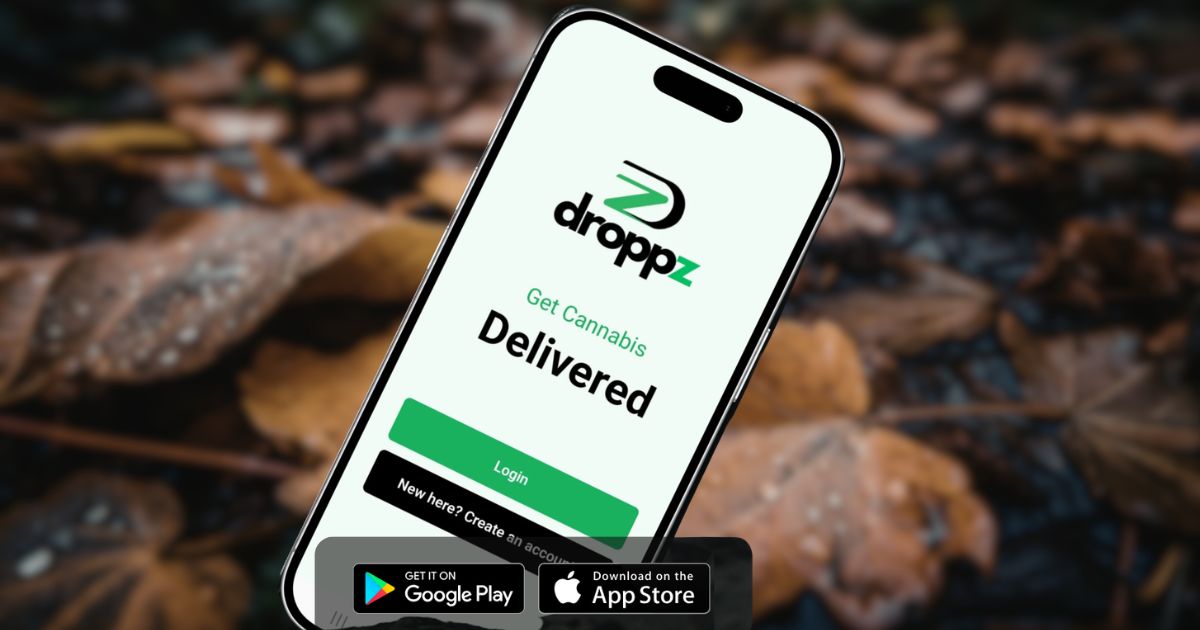 Promotional image for the Droppz cannabis delivery app featuring a smartphone displaying the app's login screen with the tagline 'Get Cannabis Delivered.' The screen includes login and account creation options, along with Google Play and App Store download badges. The background is blurred with autumn leaves