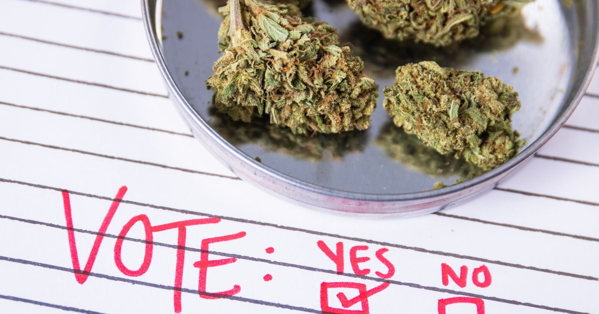 Close-up of a lined paper with 'VOTE: YES NO' written in bold red letters, the 'YES' box checked. A metal dish containing green cannabis buds sits nearby, symbolizing Maine's recreational cannabis voting efforts