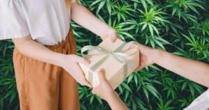 Image of a gift exchange set against a vibrant background of green cannabis leaves. A light-colored gift box with a silver ribbon is being passed between two hands, with a smaller hand reaching up to touch it. The scene symbolizes Missouri's cannabis gifting culture