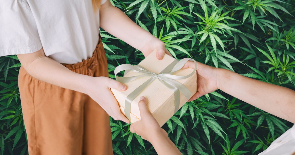 Image of a gift exchange set against a vibrant background of green cannabis leaves. A light-colored gift box with a silver ribbon is being passed between two hands, with a smaller hand reaching up to touch it. The scene symbolizes Missouri's cannabis gifting culture
