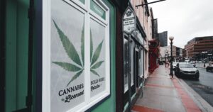 Street view of a New York dispensary with a green storefront featuring a large cannabis leaf graphic and white window decals reading 'CANNABIS Licensed SOLD HERE Retailer.' The scene is set in an urban commercial district with wet pavement, parked cars, and an overcast sky, highlighting the presence of a licensed cannabis retailer