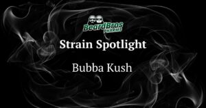 Promotional graphic for the Bubba Kush strain by BeardBros PHARMS. The image features a dark, smoky background with swirling mist patterns, the BeardBros PHARMS logo with two bearded faces, and the text 'Strain Spotlight: Bubba Kush' in a white serif fon