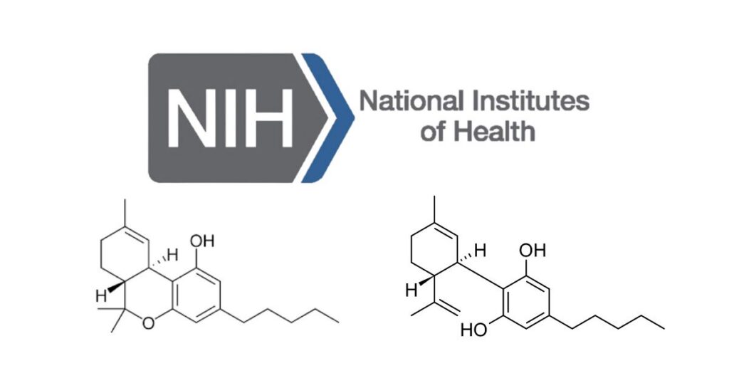 Image featuring the National Institutes of Health (NIH) logo at the top, with two chemical structures below: one for THC (Δ9-tetrahydrocannabinol) and one for CBD (cannabidiol). The composition highlights the connection between cannabis and cancer research, focusing on the chemical properties of cannabinoids.