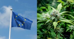 Split image featuring the European Union flag waving against a blue sky with scattered clouds on the left, and a close-up of a frosty cannabis bud with serrated green leaves on the right. The composition highlights the evolving conversation around cannabis in Europe.