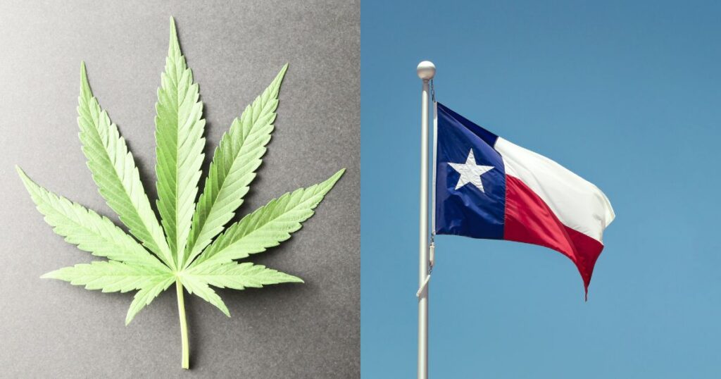 Split image featuring a bright green cannabis leaf on a dark gray background in the left panel, symbolizing marijuana. The right panel shows the Texas state flag waving against a clear blue sky, with its iconic single white star, blue vertical stripe, and red and white horizontal stripes. The composition highlights the connection between cannabis and Texas, suggesting themes of legalization or policy. Keywords: Texas cannabis legalization