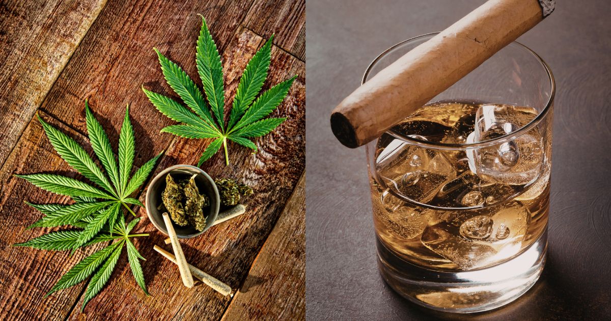 Split image comparing cannabis and alcohol. The left side shows vibrant green cannabis leaves, dried buds in a small bowl, and two pre-rolled joints on a rustic wooden surface. The right side features a glass of amber whiskey with ice and a cigar resting on the rim, set against a dark background. Keywords: cannabis safer than alcohol