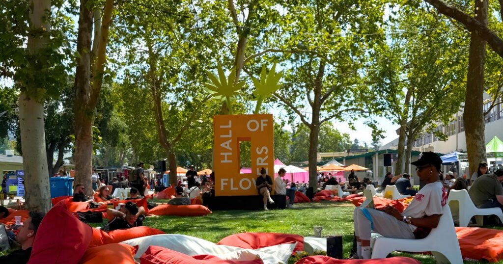Outdoor festival scene at Hall of Flowers Ventura, featuring a large bright orange structure with 'Hall of Flowers' written vertically on its sides. The structure is flanked by two light-green cannabis leaf-shaped cutouts, symbolizing the event's cannabis theme. The grassy area is filled with colorful beanbags in orange, red, and white, where attendees relax under the shade of trees. Vendor tents in pink, green, and blue are visible in the background, along with a blue banner reading 'Voices That You Can Trust.' The atmosphere is lively and casual, with people sitting, walking, and enjoying the event.