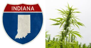 Split image featuring an Indiana road sign with a gray state silhouette on the left and a vibrant green hemp plant on the right. The composition highlights the ongoing debate around Indiana's intoxicating hemp ban