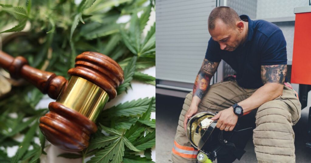 Split image highlighting Maryland Senate Bill 439. The left panel features a wooden gavel with a brass band resting on vibrant green cannabis leaves, symbolizing cannabis legislation. The right panel shows a reflective firefighter in a dark blue polo and khaki bunker pants with orange reflective strips, holding a brass firefighter's helmet. His tattooed arms and the blurred background of a fire truck emphasize his profession.