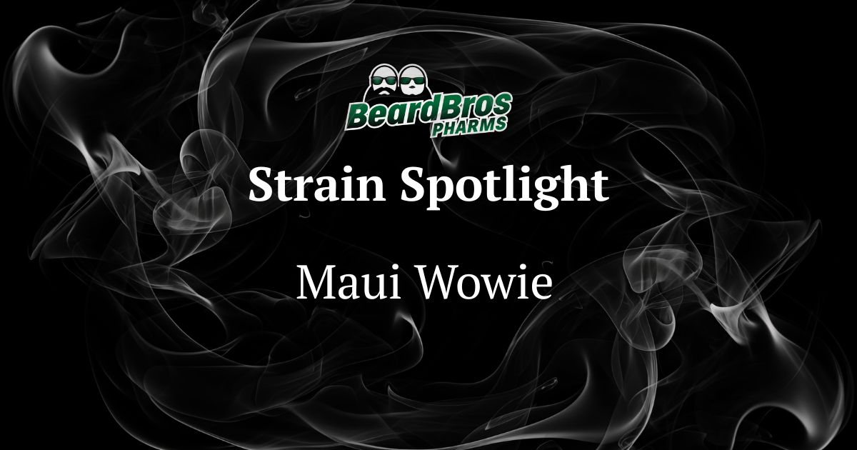 Promotional graphic for the Maui Wowie cannabis strain by BeardBros PHARMS. The design features a dark black background with swirling white and gray smoke patterns. At the top, the BeardBros PHARMS logo displays two cartoon faces with beards and sunglasses, accompanied by green and white text. Below the logo, 'Strain Spotlight' and 'Maui Wowie' are written in elegant white serif font, centered against the smoky backdrop