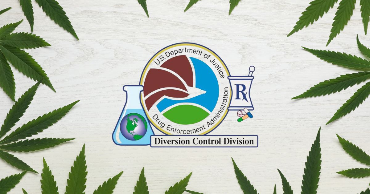 Centered DEA Diversion Control Division logo featuring an eagle, a globe, a mortar and pestle with an 'Rx' symbol, and colorful pills, surrounded by green cannabis leaves on a rustic wooden background. Represents the launch of the medical marijuana registration portal