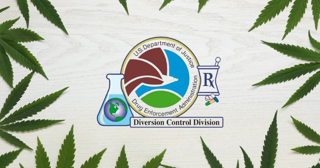 Centered DEA Diversion Control Division logo featuring an eagle, a globe, a mortar and pestle with an 'Rx' symbol, and colorful pills, surrounded by green cannabis leaves on a rustic wooden background. Represents the launch of the medical marijuana registration portal